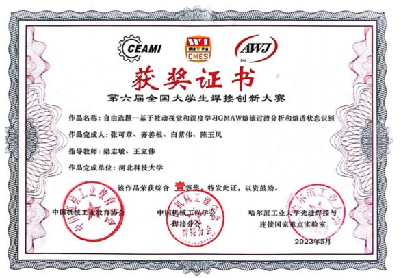团队现有教师20人