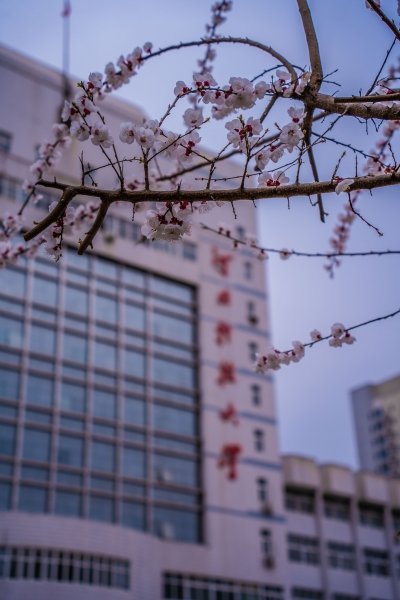 公开信息按发布时间滚动
