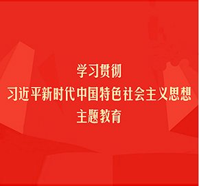 公开信息按发布时间滚动