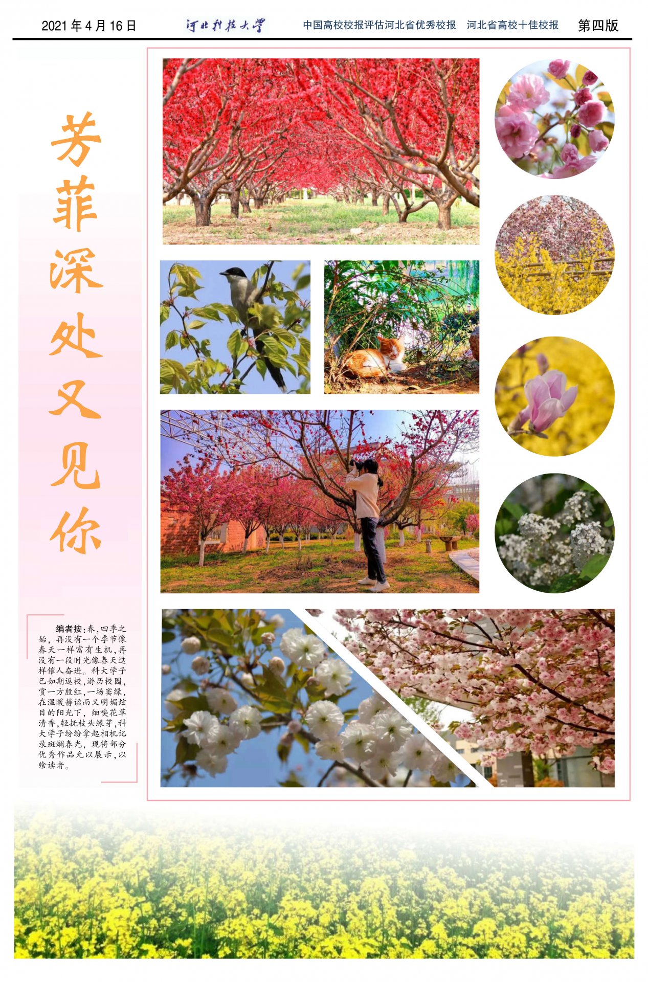 aff800d17919444489f5c1d139cba32f.jpg 同题参见