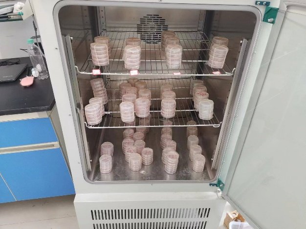 研究生院